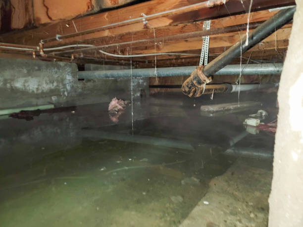 Best Emergency water damage restoration  in Columbia City, IN