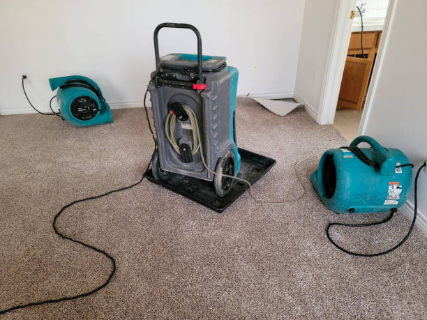 Best Flood damage cleanup  in Columbia City, IN