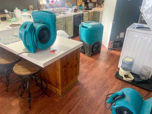 Best Water damage restoration near me  in Columbia City, IN