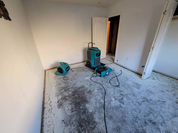 Best Commercial water damage restoration  in Columbia City, IN