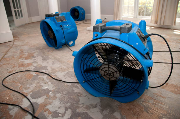 Best Water damage contractors near me  in Columbia City, IN