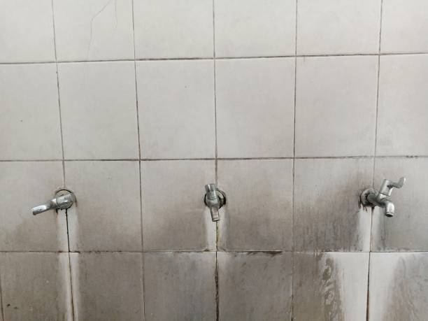 Best Water damage cleanup near me  in Columbia City, IN